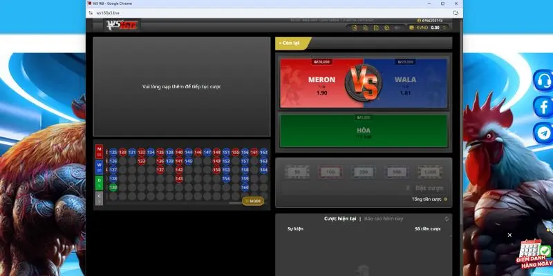 Thông tin cơ bản về sảnh đá gà